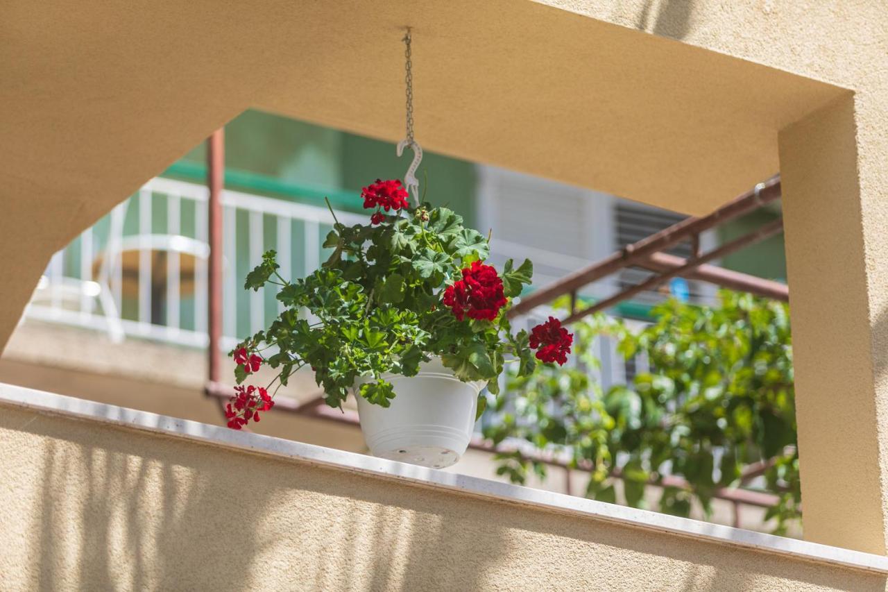 טוצפי Apartments Barba מראה חיצוני תמונה
